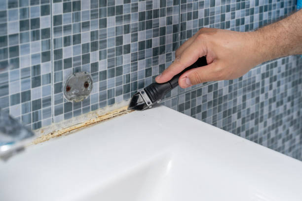 Best Mold Cleaning Services  in Union, NJ
